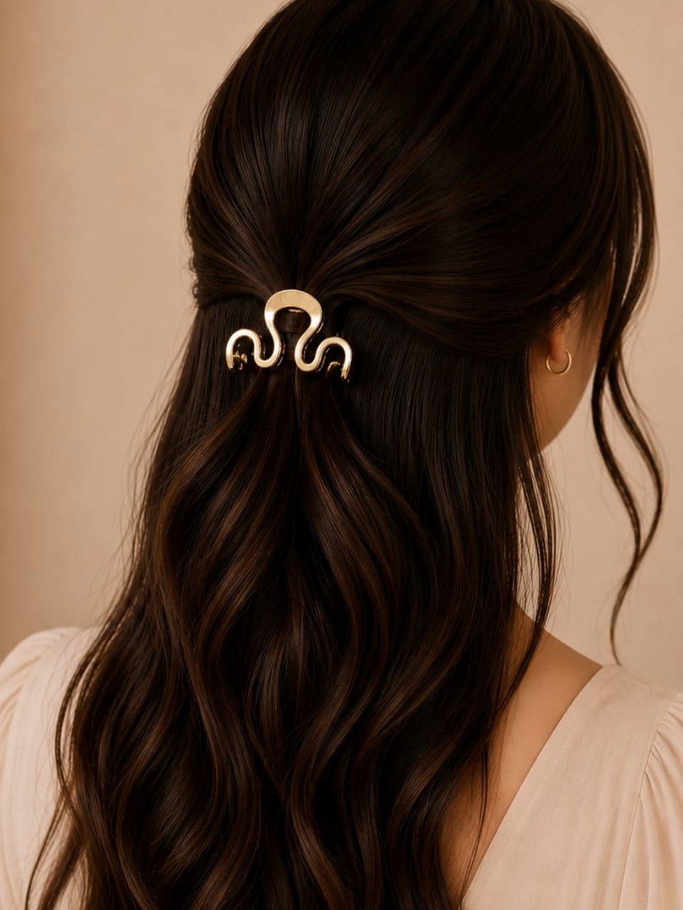 Claw Clip